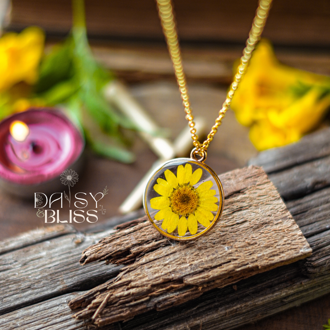 Daisy - Healer - Image 3